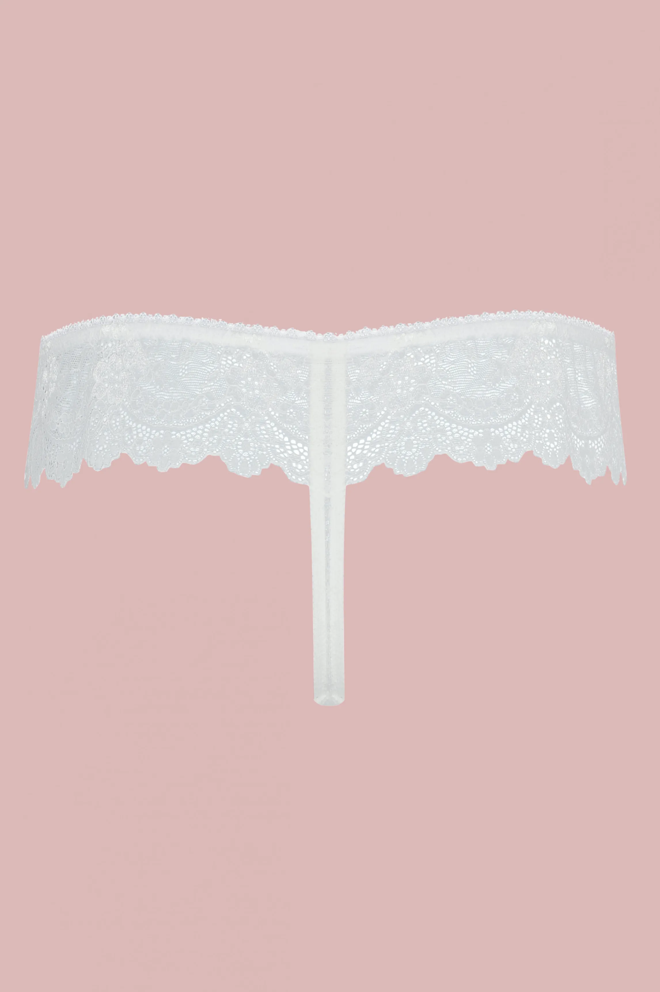 ania_ivory_lace_thong_2.webp Discount ANIA ivory lace thong Tangas And Jstrings