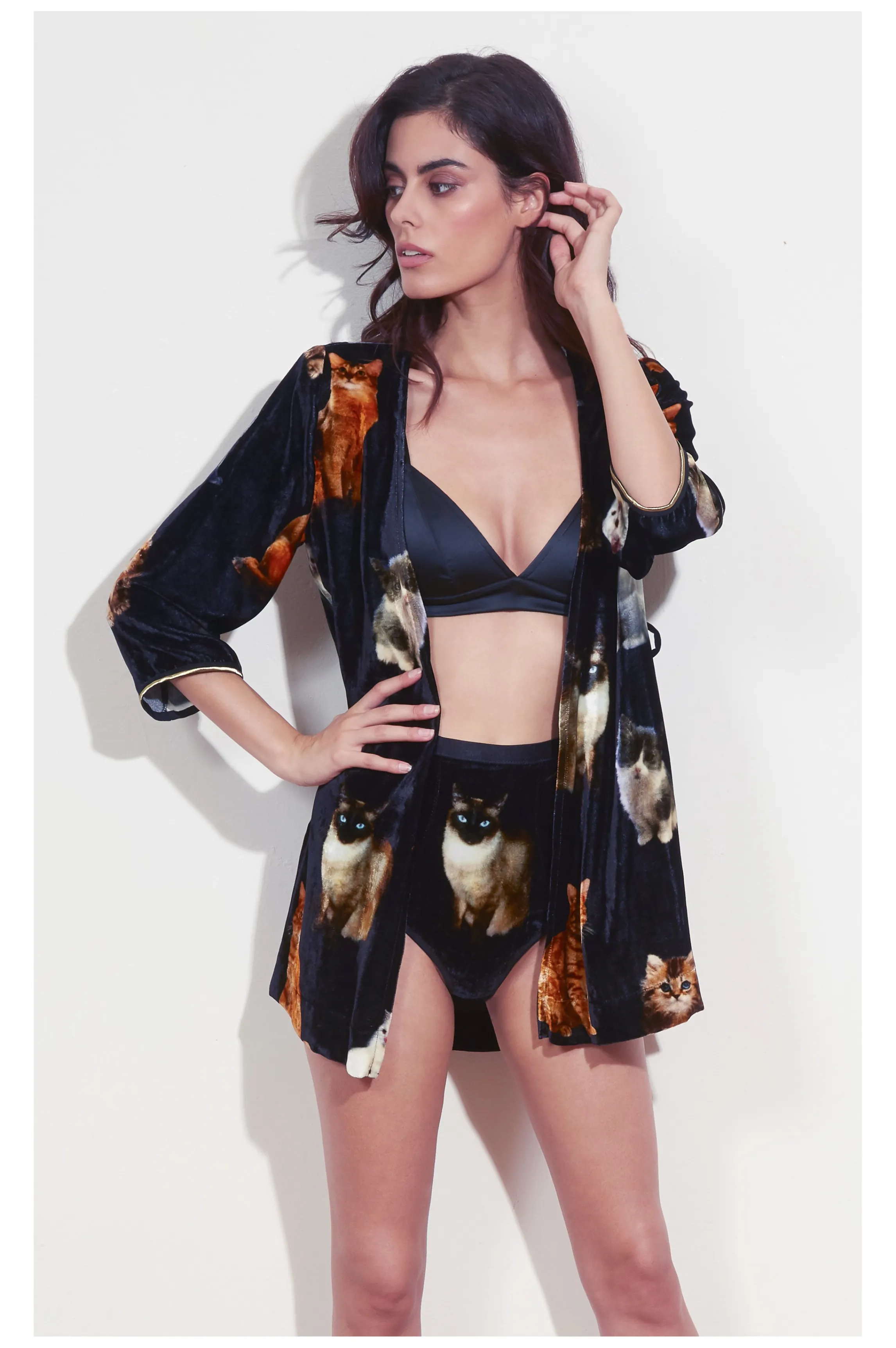 Clearance GINA siamese cat high waist panties High Waist Panties